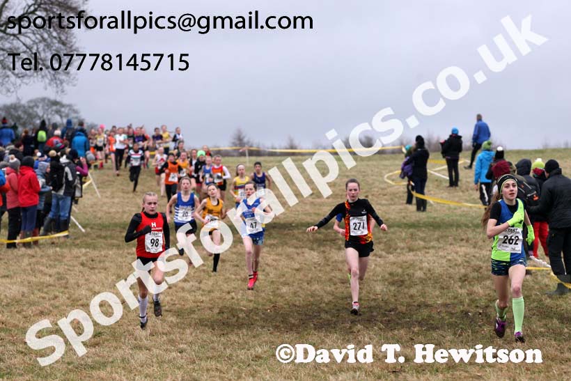 Girls under-13s, 2018 Northern Cross Country Champs., Harewood House, Leeds. Photo: David T. Hewitson/Sports for All Pics